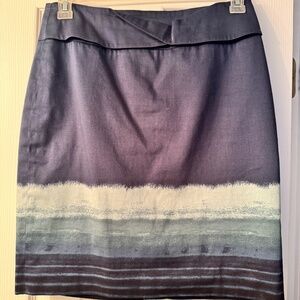 Ann Taylor Ombré Blue Skirt